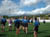 DSCF0265